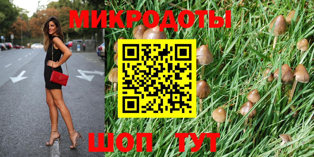 Псилоцибиновые грибы Psilocybine cubensis Рославль