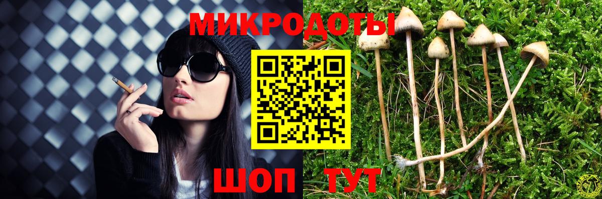 Псилоцибиновые грибы GOLDEN TEACHER  Вход с VPN  Рославль  Псилоцибиновые грибы MAGIC MUSHROOMS 